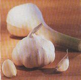 JT Kräuter Knoblauch.jpg